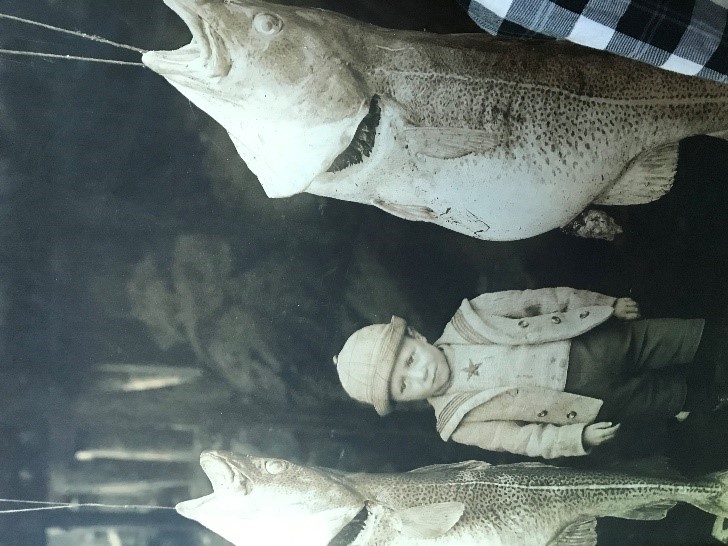 Cod boy Newfoundland