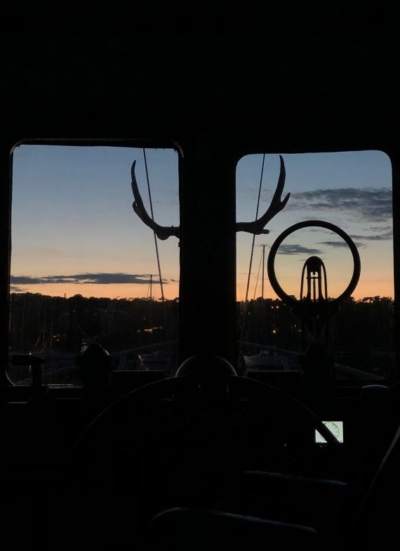 Antlers Newfoundland