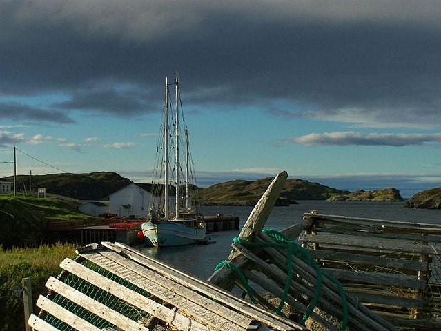 Lobster pod Newfoundland