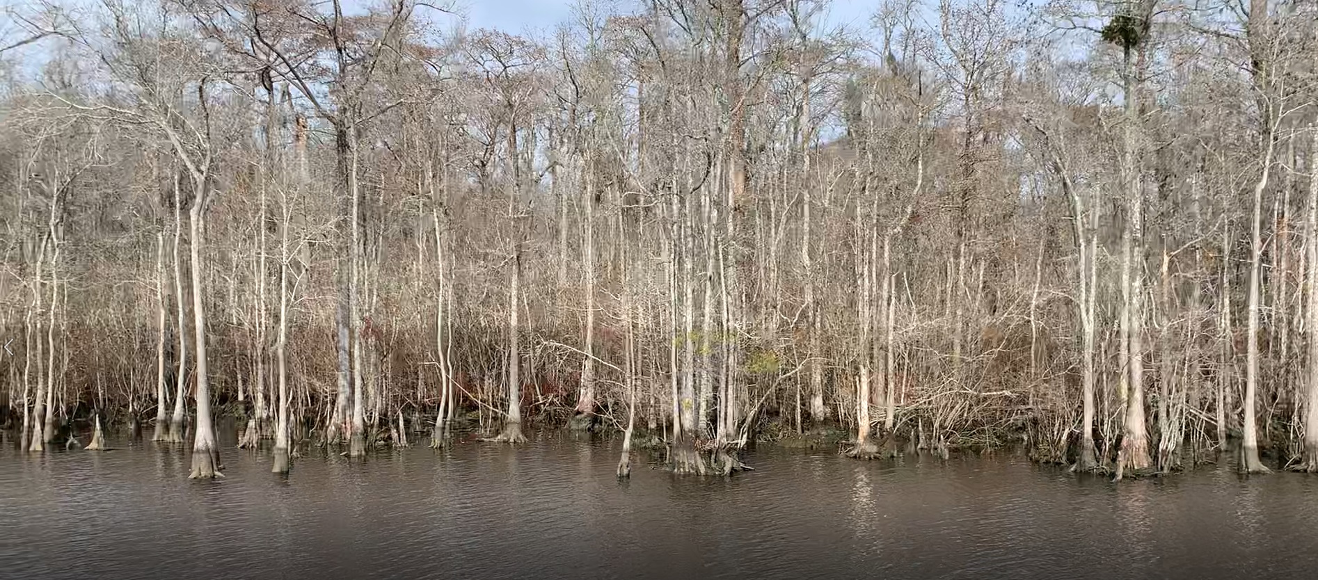 marsh NC