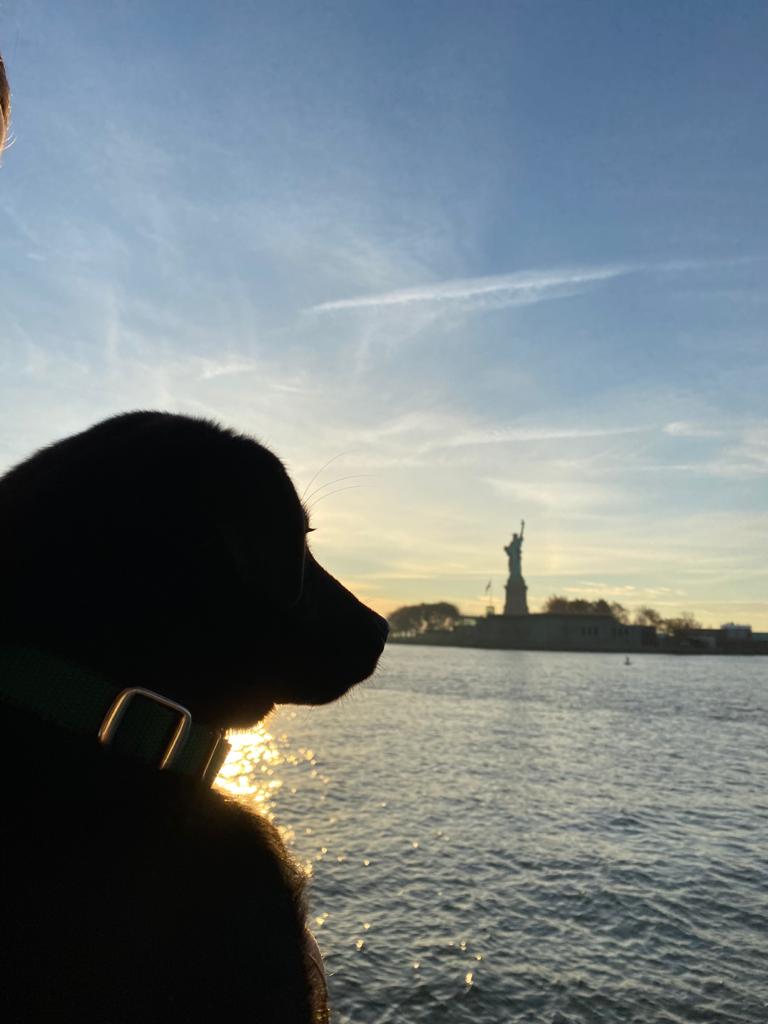Theo New York