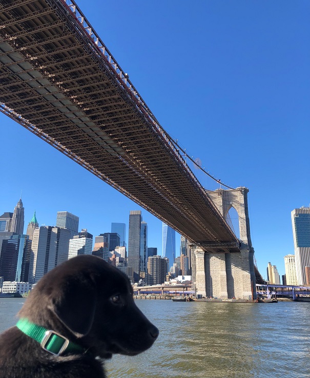 Manhattan